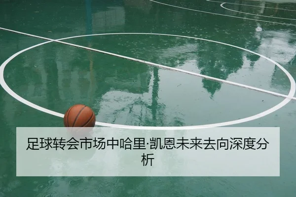 足球转会市场中哈里·凯恩未来去向深度分析